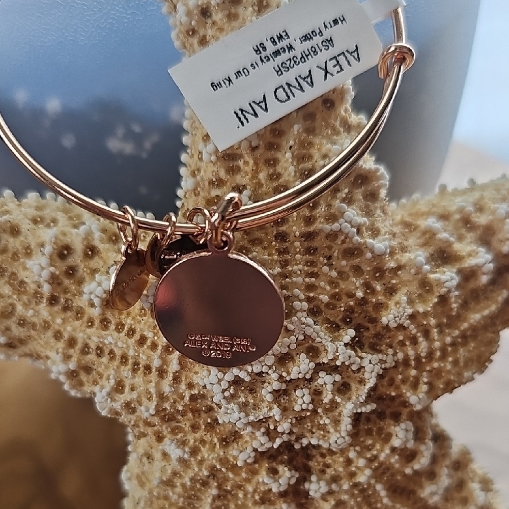 Alex and Ani Harry Potter Gold Expandable Charm Bracelet - Picture 3 of 3